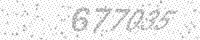 imgCaptcha